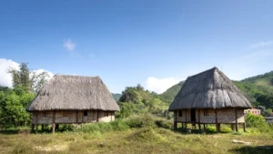 Adolescente indígena é queimado com ferro de marcar gado no Tocantins