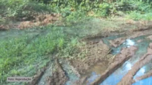 BRK é condenada por vazamento de esgoto em área protegida de Palmas