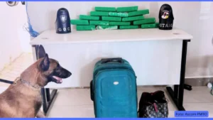 Dupla é presa por tráfico de drogas em Palmas durante patrulhamento