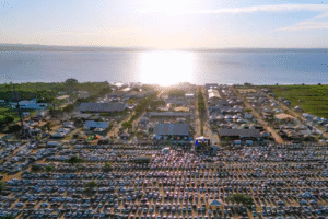 Inovação no agronegócio: Agrotins 2025 traz cão robô e iogurte de flor com propriedades medicinais