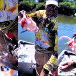Pescador mostra carcaça de peixe após ataque de piranhas no Tocantins