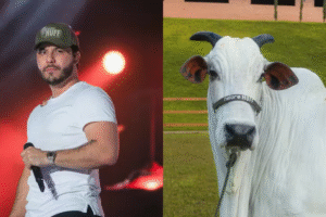 Murilo Huff se torna sócio de vaca Nelore avaliada em mais de R$ 17 milhões