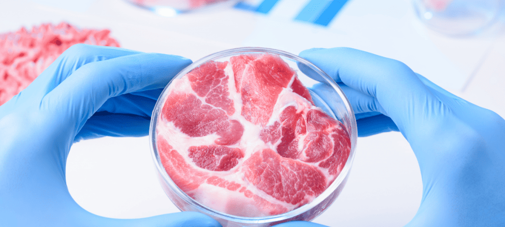 Consumo de carne vermelha intensifica inflamação intestinal em estudo com camundongos - Imagem do artigo original