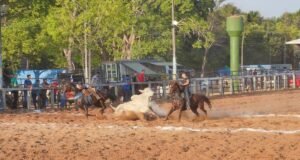 2ª Semana do Cavalo movimenta Gurupi entre 20 e 27 de setembro com corrida inédita e leilão de cavalos