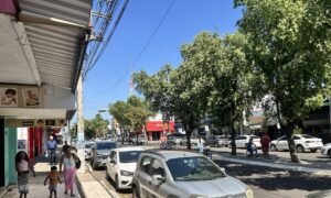 Tocantins alcança 1,58 milhão de habitantes em 2025, aponta estimativa