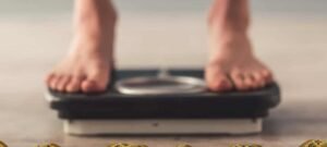 Pesquisadores identificam proteína que orienta o armazenamento de gordura nas células