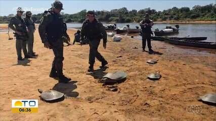Operação apreende 10 tartarugas vivas e 720 kg de pescado no Parque Nacional do Araguaia - Imagem do artigo original