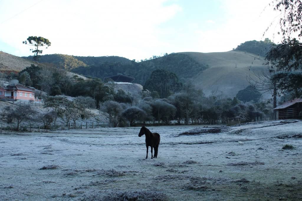 Massa de ar frio avança pelo país e derruba temperaturas em dez estados neste fim de semana - Imagem do artigo original