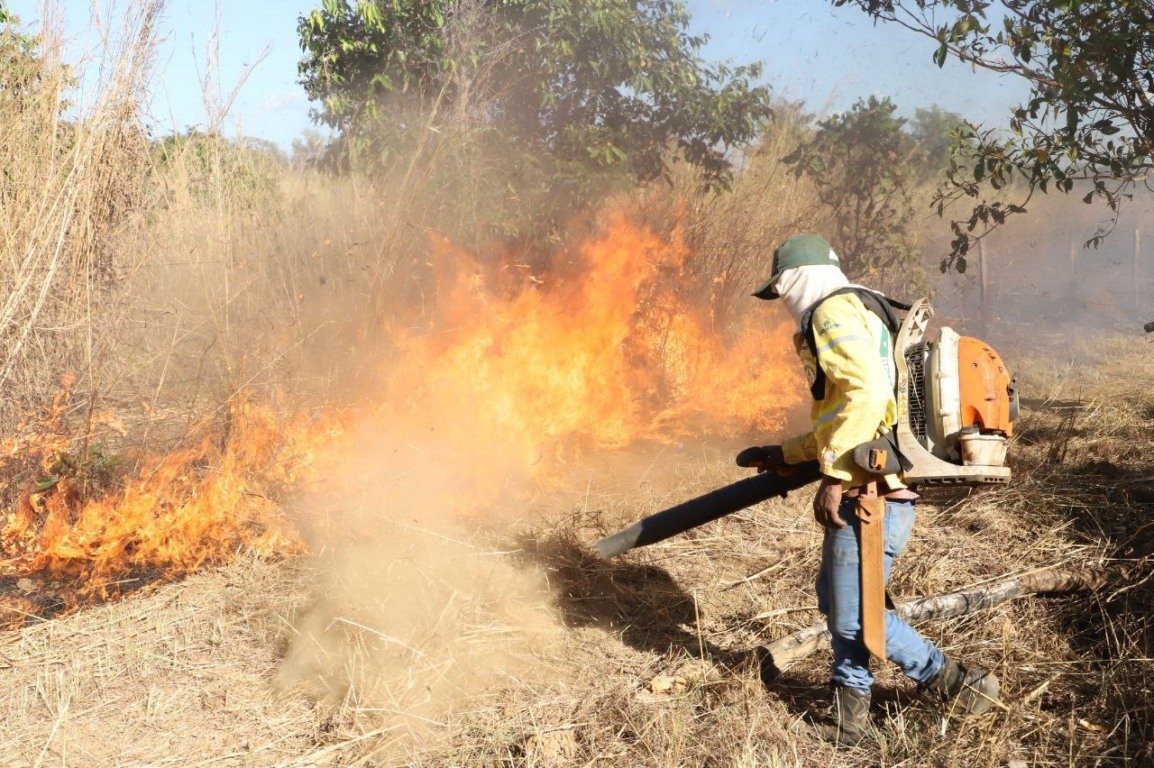 Tocantins suspende queima controlada e reforça orientações a produtores rurais contra incêndios florestais - Imagem do artigo original