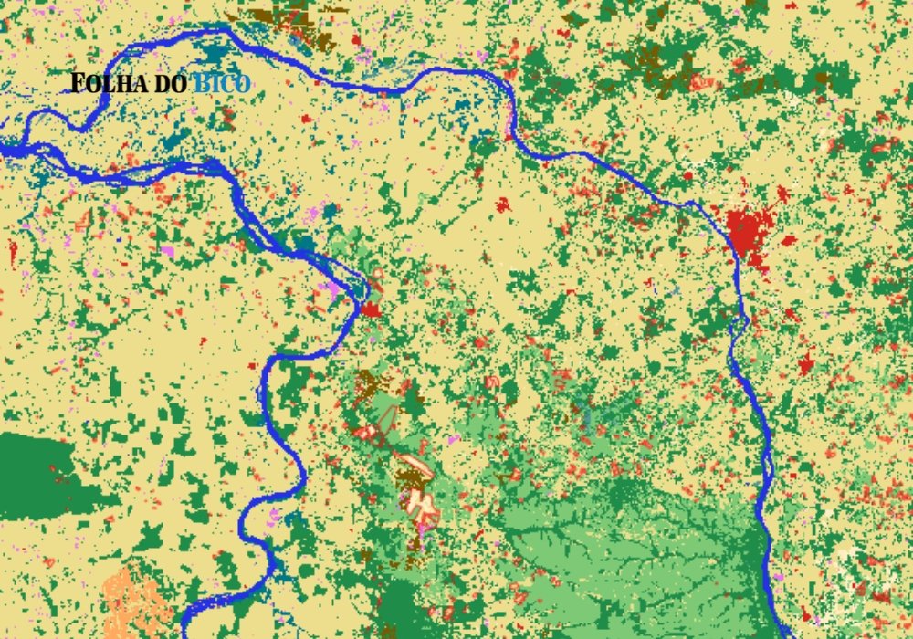 Ministério Público apura desmatamento após alertas de satélite no Bico do Papagaio - Imagem do artigo original