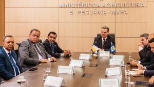 Tocantins é aconselhado a investir em rastreabilidade para ampliar mercados após tarifa dos EUA - Imagem do artigo original