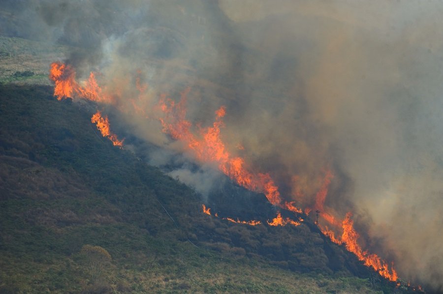 Área desmatada na Amazônia sobe 4% e chega a 4,5 mil km² em 12 meses - Imagem do artigo original