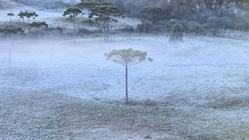 5ª onda de frio avança e derruba temperaturas no Brasil até quarta-feira - Imagem do artigo original