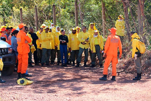 Tocantins amplia ações de prevenção e monitoramento para conter queimadas - Imagem do artigo original