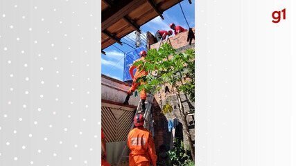 Homem sofre descarga elétrica em telhado de açougue e é resgatado pelos Bombeiros em Gurupi - Imagem do artigo original