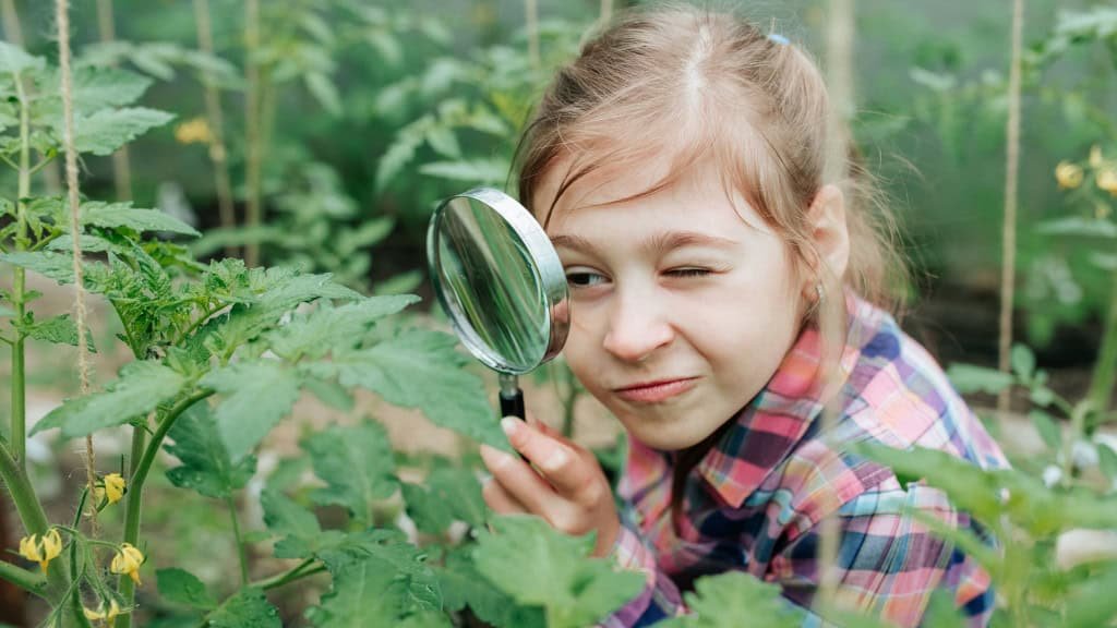 Conexão humana com a natureza cai 200% em dois séculos, aponta estudo britânico - Imagem do artigo original