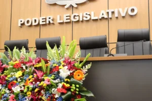 Câmara de Palmas volta às atividades e marca primeira sessão ordinária para terça-feira, 5