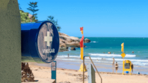 Totens de vinagre viram item de segurança em praias do norte da Austrália