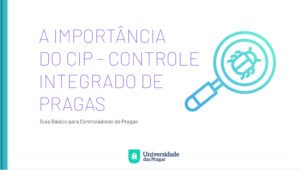 Controle de pragas urbanas reúne limpeza, selamento e ação profissional para evitar doenças