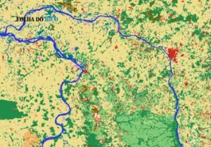 Ministério Público apura desmatamento após alertas de satélite no Bico do Papagaio