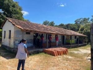 Mineradora recebe aval para pesquisar terras raras em território quilombola no Tocantins