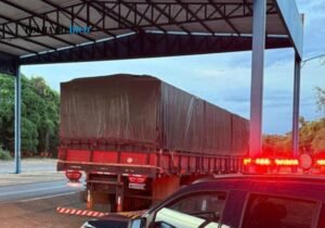 PRF detém motorista com 22,33 m³ de madeira e guia florestal adulterada em Ananás