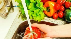 Governo do Tocantins leva capacitações sobre segurança alimentar a três cidades do Bico do Papagaio