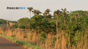 MP do Tocantins apura suposta fraude em títulos de terras da União em Araguatins e Tocantinópolis