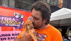 Lei garante direito de alimentar animais abandonados em espaços públicos do Tocantins