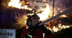 STF: Flávio Dino suspende 23 decisões que anulavam embargos do Ibama na Amazônia e no Pantanal