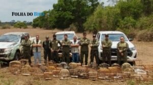 Operação apreende 133 aves silvestres em criadouros ilegais no Bico do Papagaio