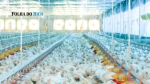 Tocantins reforça alerta a avicultores do Bico do Papagaio após prorrogação da emergência para Influenza Aviária