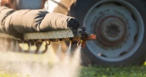 Criminosos levam defensivos agrícolas de mais de R$ 1 milhão em fazenda de Goiatins