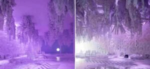 Damares quer explicações da ApexBrasil após TCU abrir auditoria sobre pavilhão na Expo 2025 Osaka