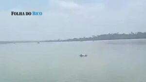 Colombiano desaparece no Rio Tocantins em Itaguatins e é encontrado morto 70 km depois, em Sampaio