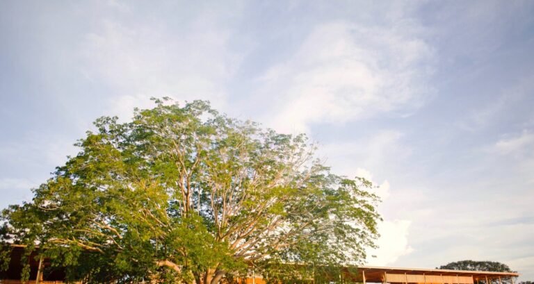 Fundação Bradesco anuncia vagas na Escola-Fazenda de Canuanã, no Tocantins