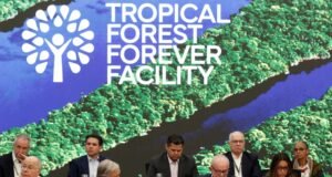 Janja divide mesa principal da COP30 e ocupa posição acima de chefes de Poderes