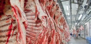 China prorroga investigação sobre importação de carne bovina e adia possível restrição para 2026
