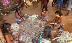 Ateliê Raízes Criativas comemora certificação como Ponto de Cultura e divulga projetos indígenas no Tocantins