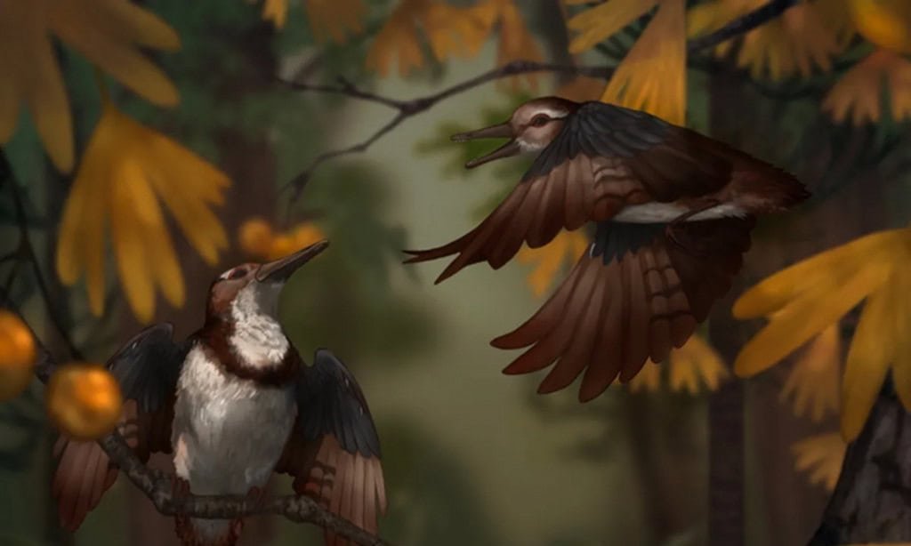 Fóssil de ave pré-histórica é encontrado com mais de 800 pedras presas na garganta - Imagem do artigo original