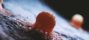 Enzima N4BP2 é identificada como gatilho de caos genético que acelera o câncer