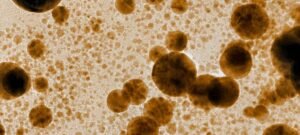 Pesquisadores da PUC-Rio aperfeiçoam produção de nanopartículas magnéticas para saúde e meio ambiente