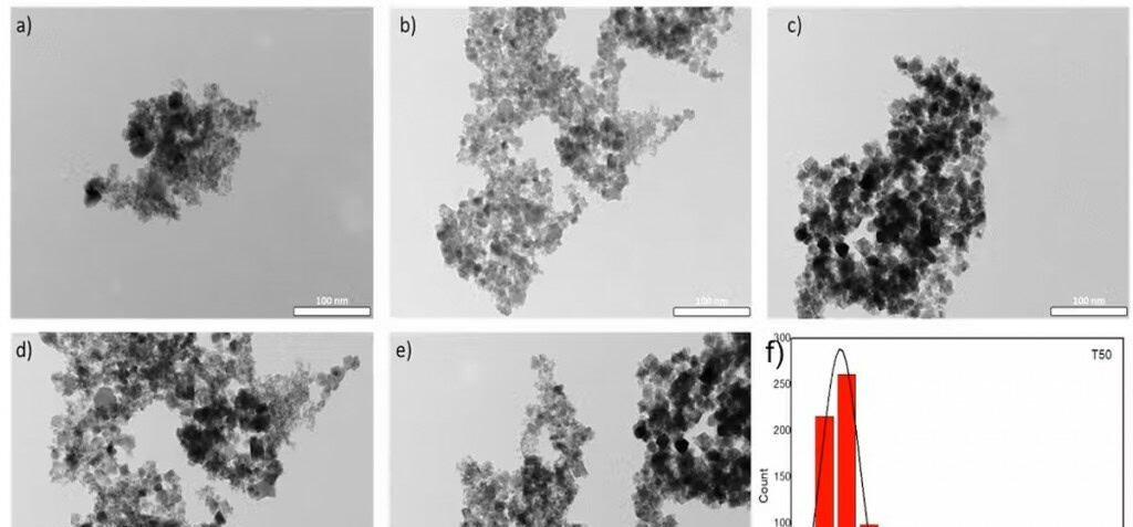 Pesquisadores da PUC-Rio aperfeiçoam produção de nanopartículas magnéticas para saúde e meio ambiente - Imagem do artigo original