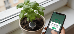 Sensores inteligentes facilitam cuidados com plantas em apartamentos pequenos