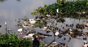 Desenvolvimento na Amazônia acirra disputa política, ambiental e econômica