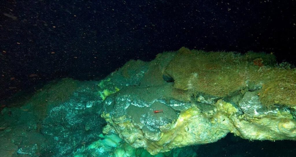 Cientistas localizam ecossistema único a 3,5 km de profundidade no Mar da Groenlândia - Imagem do artigo original