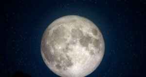 Como o mundo recebe o novo ano: dos rituais romanos às festas chinesas