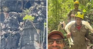 Corpo de Bombeiros resgata bode preso a 120 metros de altura em parque estadual de Goiás