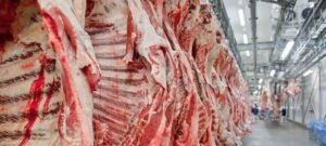 Brasil assume posto de maior produtor mundial de carne bovina em 2025; Tocantins bate recorde de abate e exportações