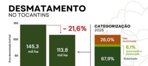 Desmatamento cai 21,6% e área queimada recua 34% no Tocantins em 2025